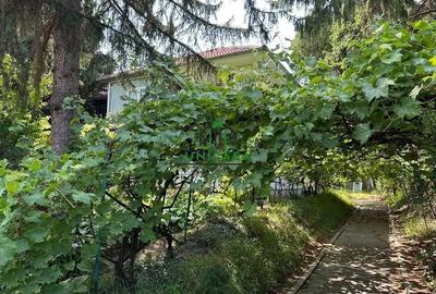 Casă cu 4 camere cu Teren 341 Mp în Central - 2