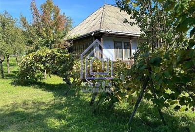 Teren de 4872 mp, în Forăști - 9