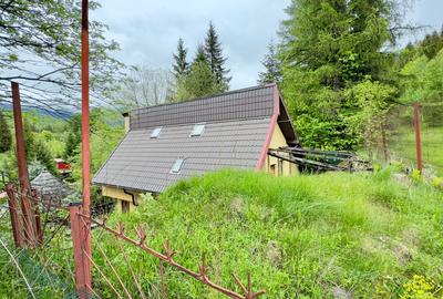 Vila vacanta Cheia - Prahova, pretabila pentru investitie - 38