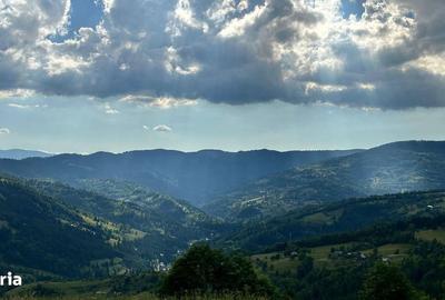 Spațiu comercial, în Horea - 5