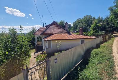 Casa in mediu rural cu teren - 6