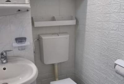 INCHIRIERE-ETAJ 1 LA VILA-COPOU AGRONOMIEI - 9