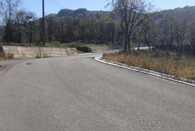 Casă cu 2 camere în Oprișești - 5