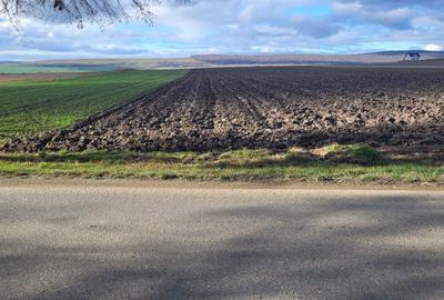 Teren agricol extravilan de 3678 mp, în Mitocu Dragomirnei - 3