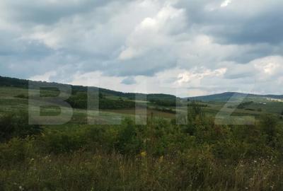 Teren extravilan, 51 ari,zona Sigmir - 1