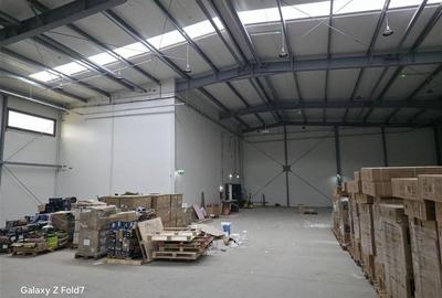 Spațiu industrial, de 1,300 mp, în Theodor Pallady - 11