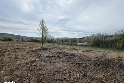 Spațiu comercial, în Bârsău - 8