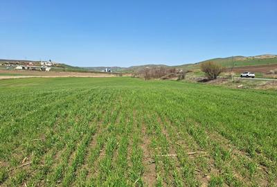 Spațiu comercial, în Unirea - 2