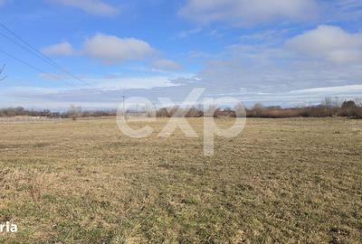 Spațiu comercial, în Central - 1