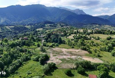 Spațiu comercial, în Bran - 7