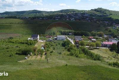 Teren de 2307 mp, în Ciurila - 13