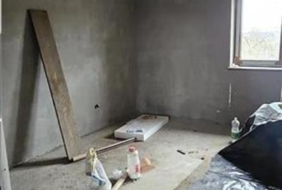 RECO. Casa la gri in Bors. - 6