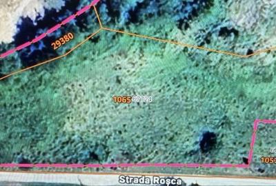 Spațiu comercial, în Central - 2