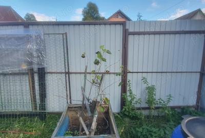 Casa de vanzare la ?ara - 5