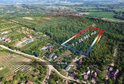 Teren agricol intravilan de 25961 mp, în Satu Nou de Jos - 2