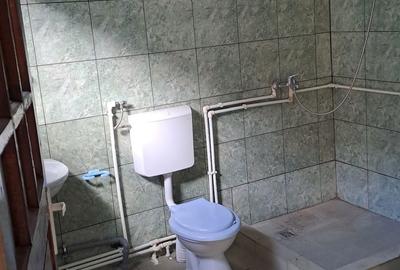 Casă cu 4 camere în Ciofrângeni - 1