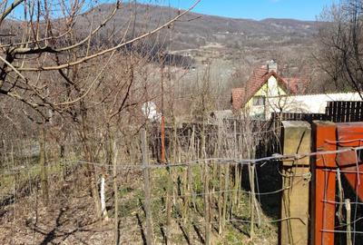 Teren Construcții intravilan de 1050 mp, în Pietrari (Păușești-Măglași) - 13