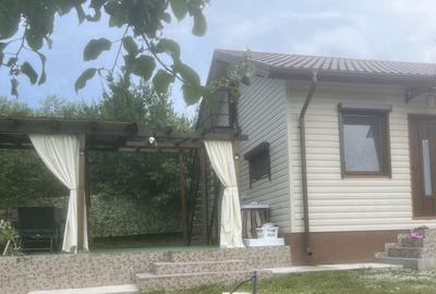 Casă cu 2 camere în Racovița - 15