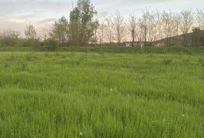 Spațiu comercial, în Leamna de Jos - 3