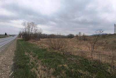 Teren Construcții extravilan de 12400 mp, în Pătrăuți - 6