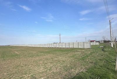 Teren de 6700 mp, în Bălăceanca - 3