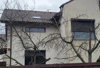 Casa deosebita ?tefane?tii Noi, Arge? - 5