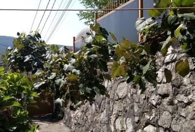 Casă bifamilială foarte bine întreținută, cu facilități bune - 12
