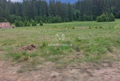 Teren Construcții intravilan de 4698 mp, în Poiana Brașov - 6