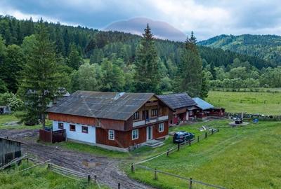 Ferma de vanzare, teren 21436 mp intravilan, Cosnea, Agas - 1