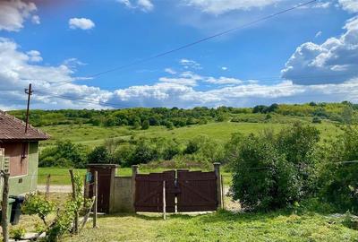 TEREN SI CASA UILEACUL DE MUNTE | 2.215MP - 7