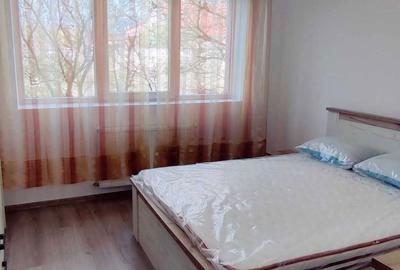 Apartament cu 2 camere semidecomandat în Central - 7