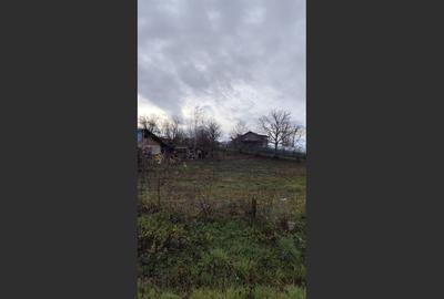 Teren Intravilan Baicoi 1061 mp - 2