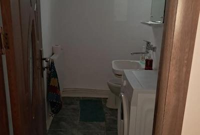 Apartament cu 3 camere decomandat în Brazda lui Novac - 6