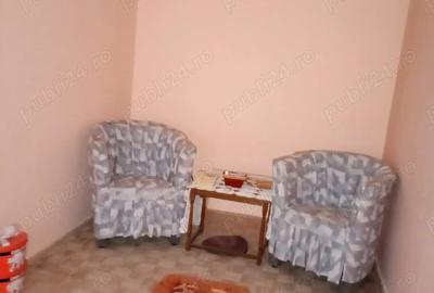 Particular Apartament 2 camere Valea Rosie - 9