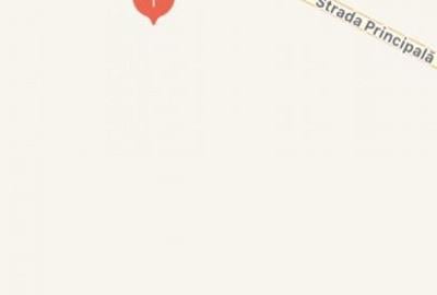 Teren de 10150 mp, în Cazasu - 2