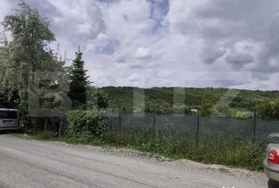 Teren de 860 mp, în Podgoria - 3