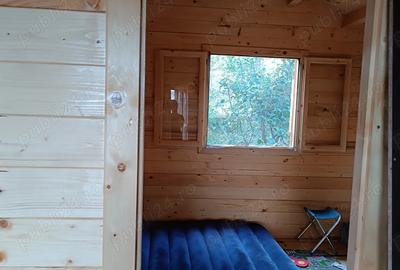 Anun? de vanzare - Casu?a din livada - 4