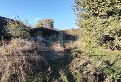 Teren Construcții intravilan de 3081 mp, în Exterior Est - 5