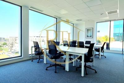 Birou, de 20 mp, în Torontalului - 8