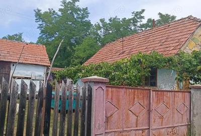 Casă cu 5 camere cu Teren 1600000 Mp în Ghirbom - 7