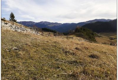 Teren Cu Priveliste Deosebita De Vanzare In Fundata - 2