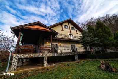 Spațiu comercial, de 350 mp, în Daneș - 1