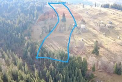 Teren de 26232 mp, în Dorna-Arini - 6