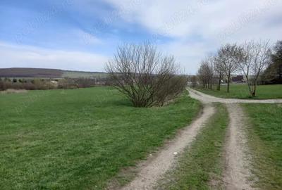 Vand teren Dragomirna 3000 mp langa padure - 3