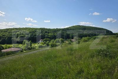 Teren potrivit pentru investitie in zona complexului Domeniul Regilor. - 4