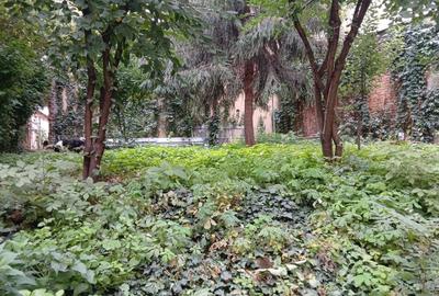 Apartament deosebit în centru – grădină proprie, terasă, intimitate - 15