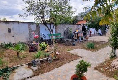 Casă cu 3 camere cu Teren 1400 Mp în Bariera Vâlcii - 16