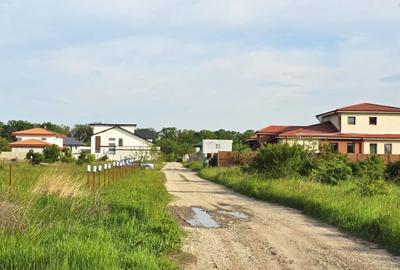 Teren Construcții intravilan de 540 mp, în Balotești - 3