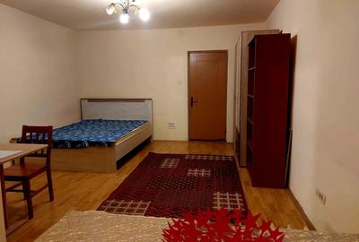 De inchiriat apartament cu 1 camera zona Circumvalatiunii - 10