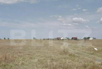 Teren de 10018 mp, în Aeroport - 1